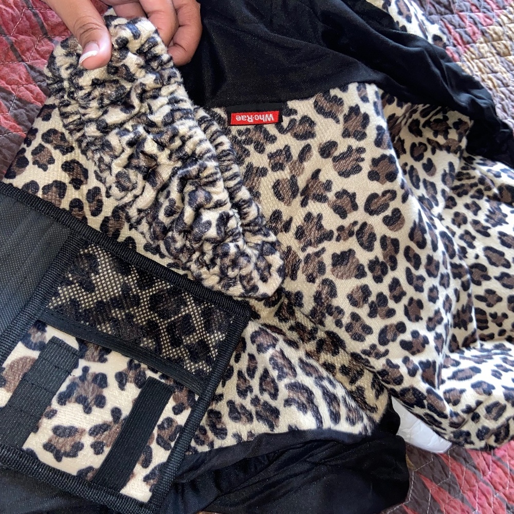 Cheetah car accessories. Passenger and driver. Wheel and visor